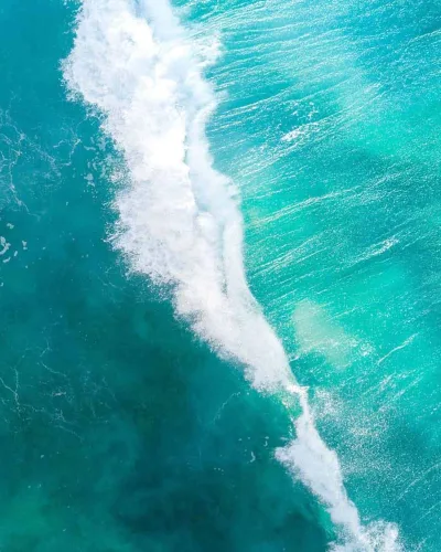La sorpresa de la sal marina
